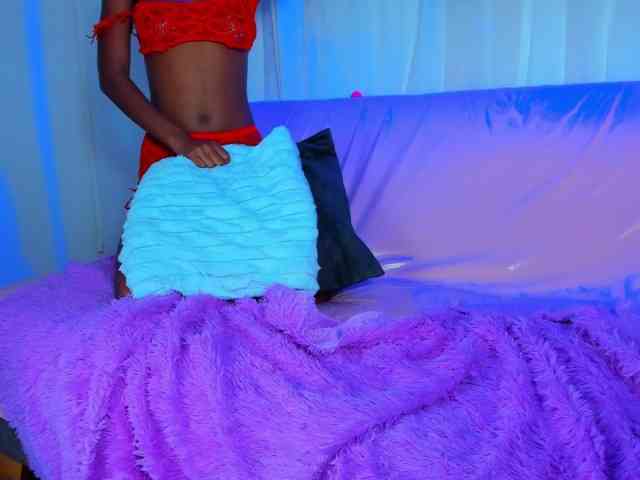 hotties-kittens webcam