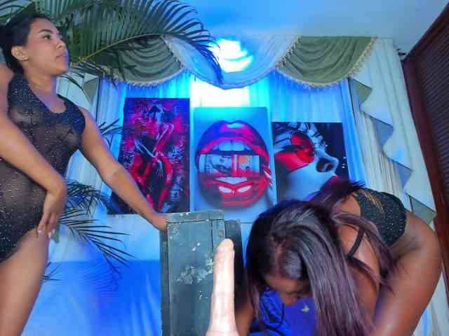 hotties-kittens webcam