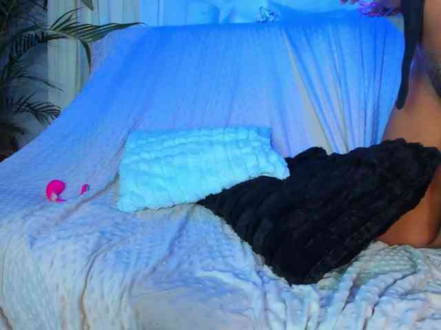 hotties-kittens webcam