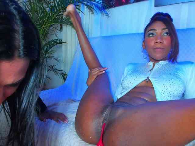 hotties-kittens webcam