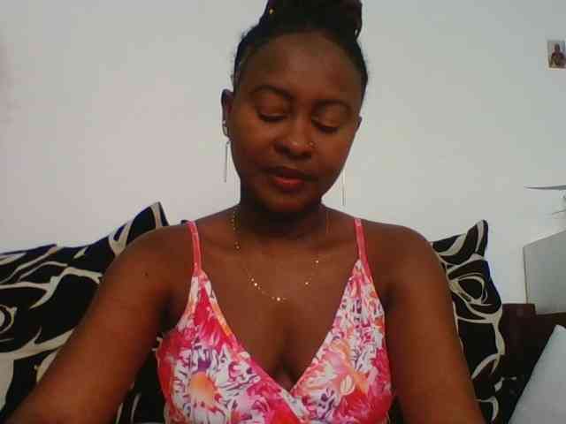 switslimx webcam