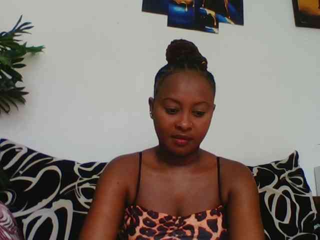 switslimx webcam