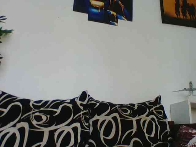 switslimx webcam