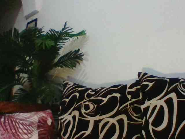 switslimx webcam