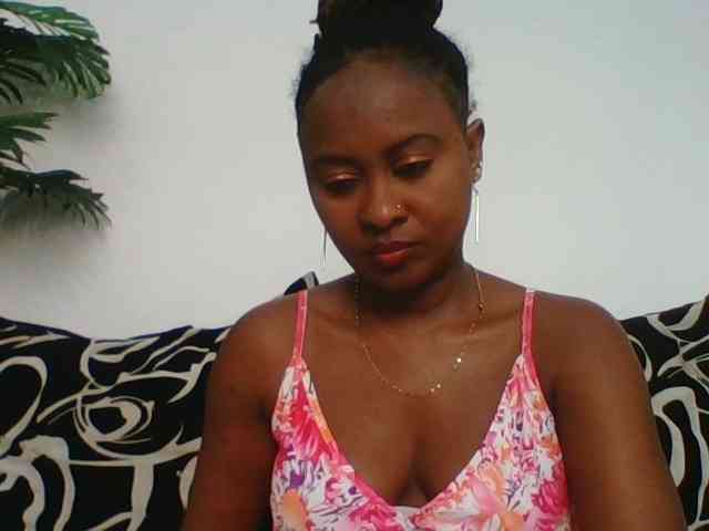 switslimx webcam