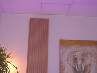 SweetObsessionXO Porn Show