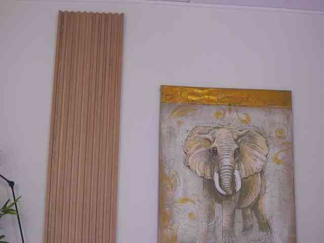 SweetObsessionXO webcam