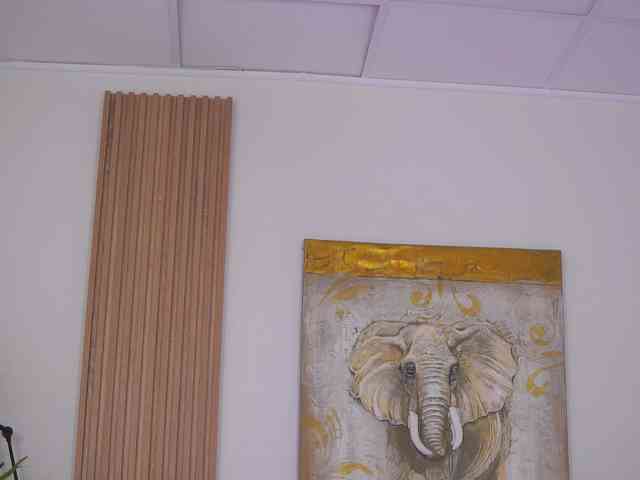 SweetObsessionXO webcam