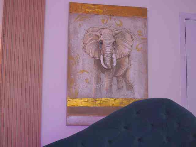 SweetObsessionXO webcam