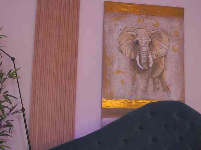 SweetObsessionXO webcam