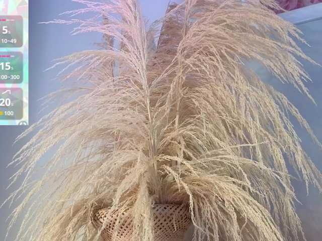 aitana-garcia's BongaCams show and profile