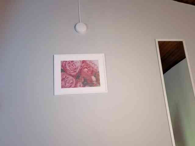 aitana-garcia aitana-garcia