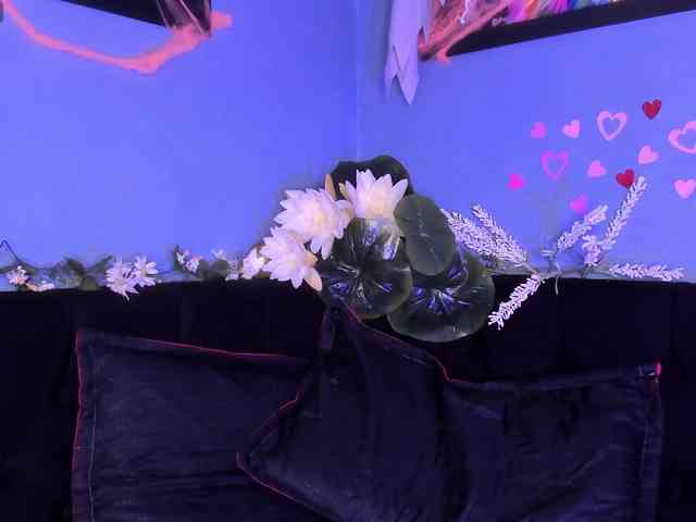 Zamantta- webcam