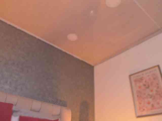 natis-mian webcam