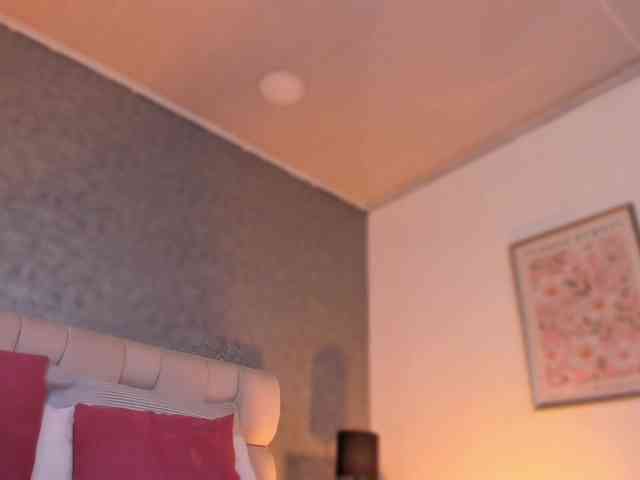 natis-mian webcam
