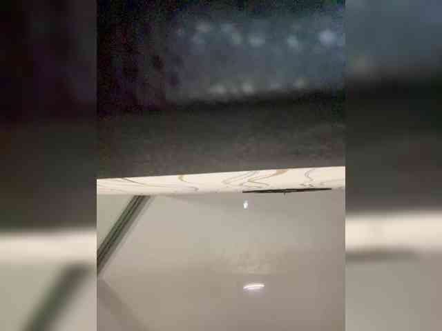 Floy-Lena webcam