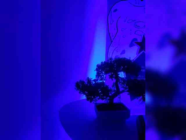 Georgina-Cross webcam