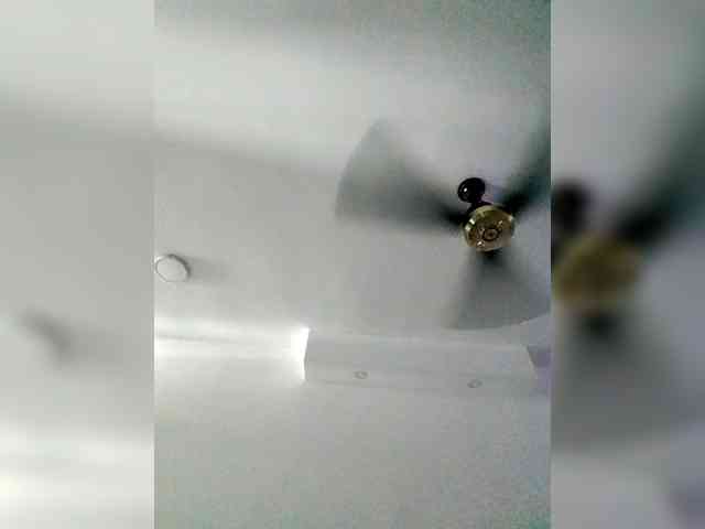 Georgina-Cross webcam