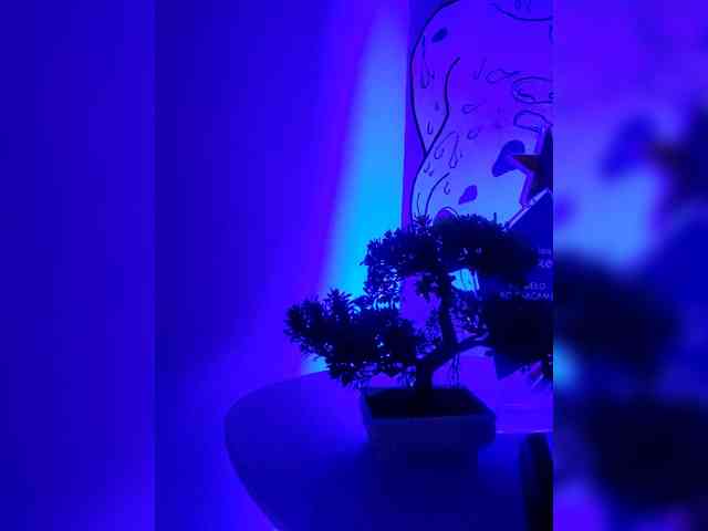 Georgina-Cross webcam