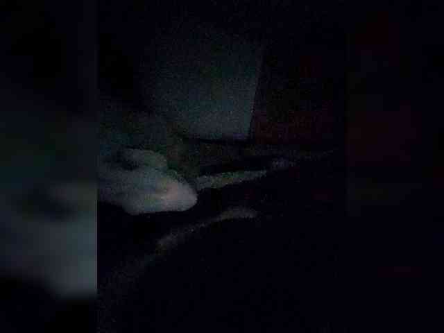 Georgina-Cross webcam