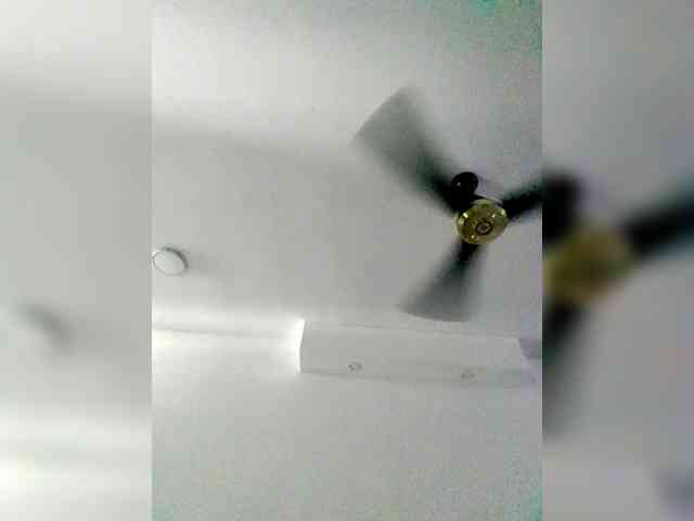 Georgina-Cross webcam