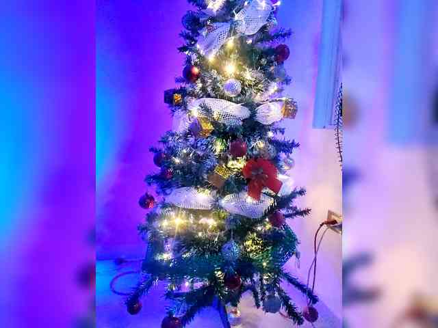 Georgina-Cross Georgina-Cross