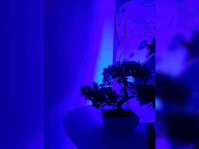 Georgina-Cross webcam