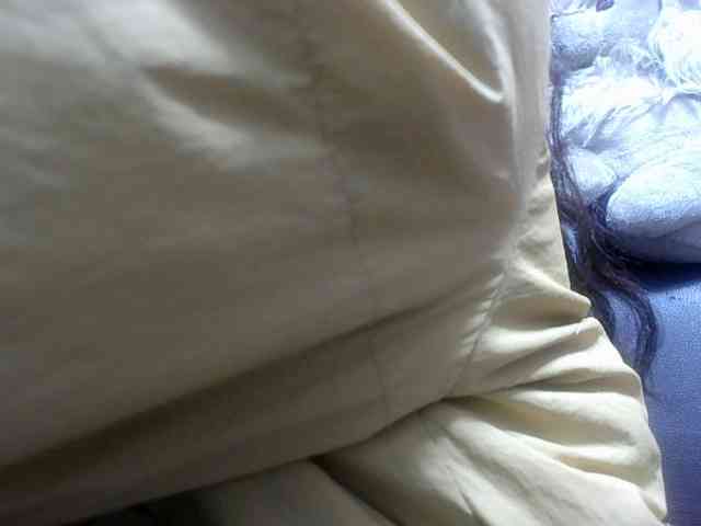 Amelia25 webcam