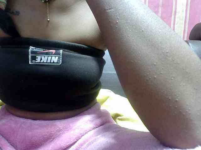 Amelia25 webcam