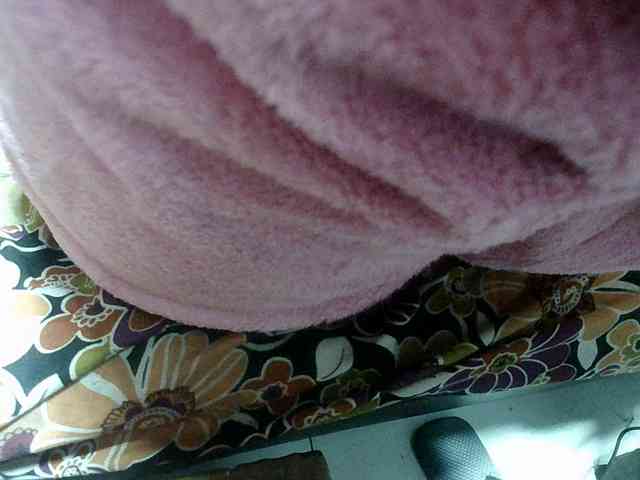 Amelia25 webcam