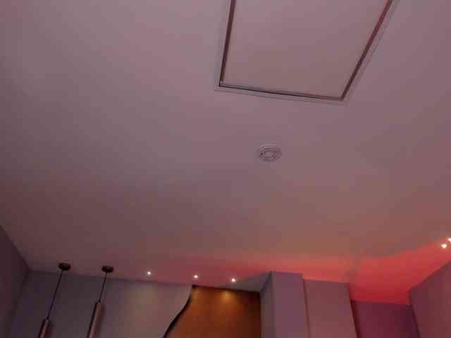 MaddisonCollins MaddisonCollins