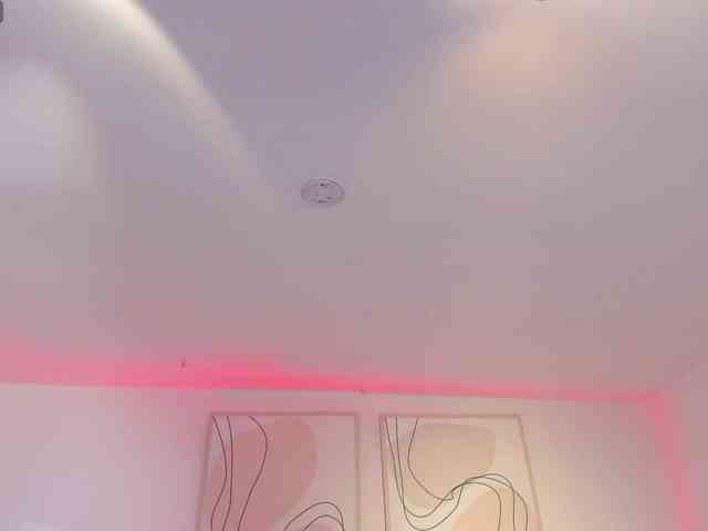 MaddisonCollins webcam