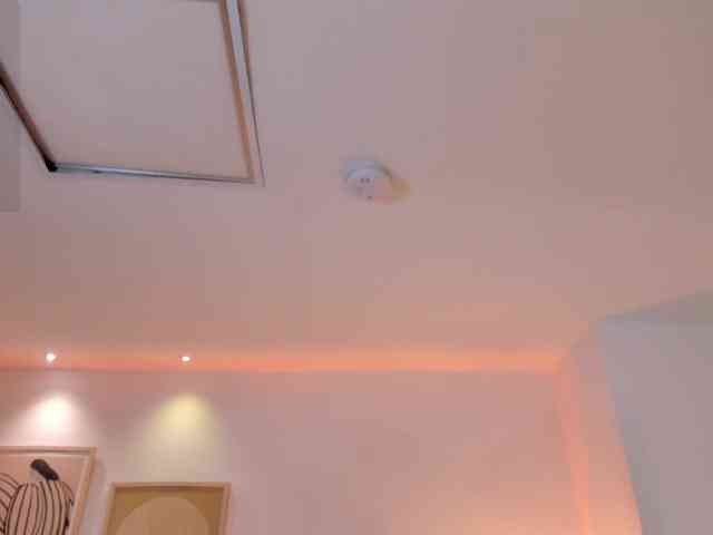 MaddisonCollins webcam