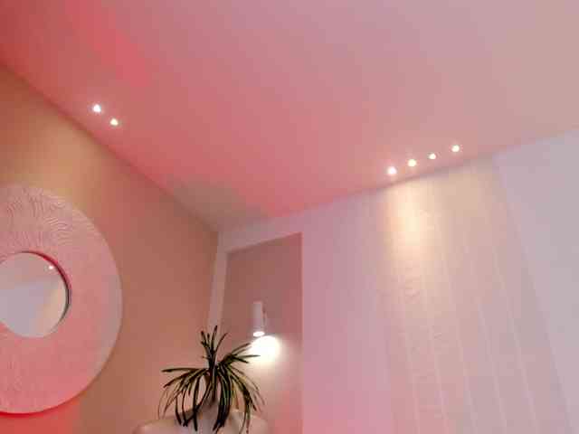 MaddisonCollins MaddisonCollins