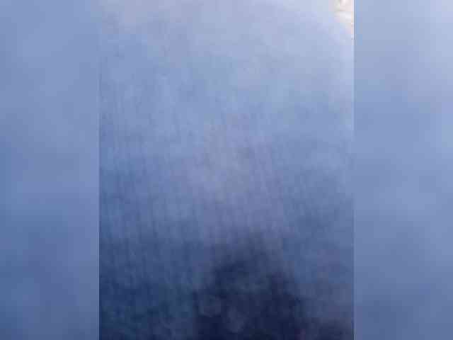 Vasyakiza1 Vasyakiza1