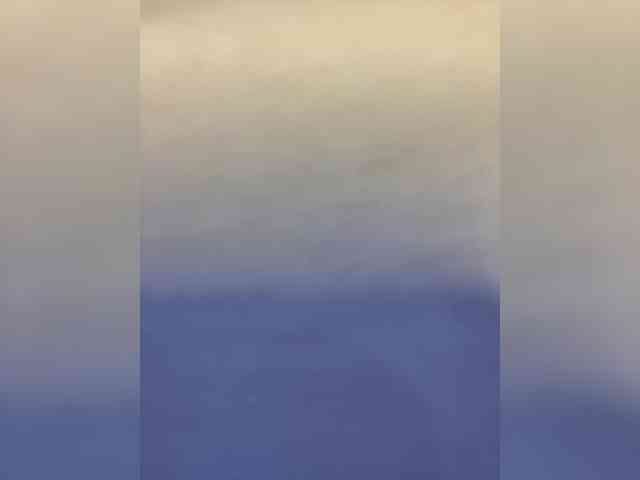 Milkkksheik-981 webcam