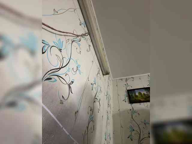 Wernaya_dama_ webcam