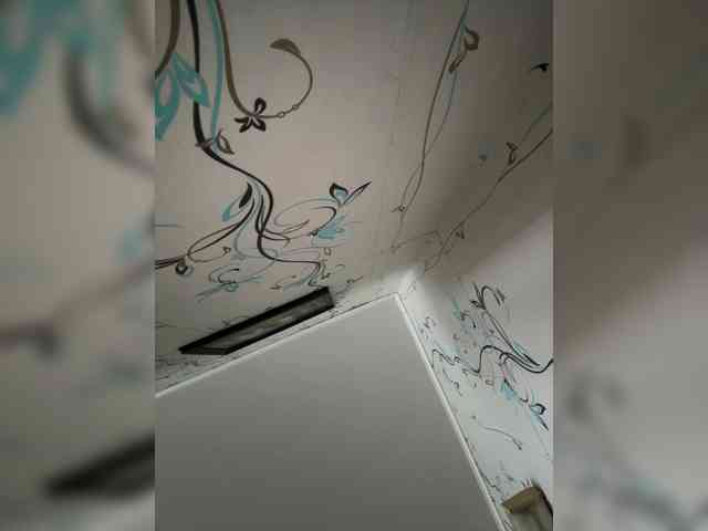 Wernaya_dama_ webcam