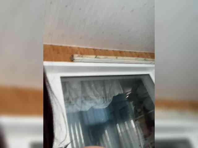 Wernaya_dama_ webcam