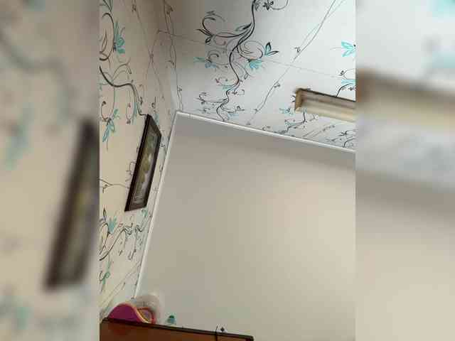 Wernaya_dama_ webcam