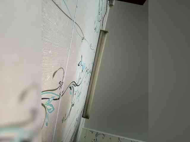 Wernaya_dama_ webcam