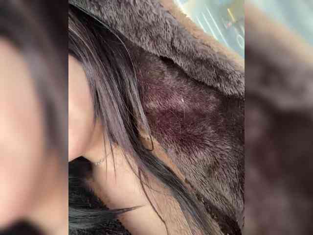 Wernaya_dama_ webcam