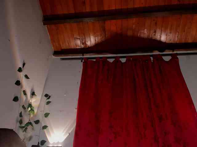 Maddy-Copers webcam