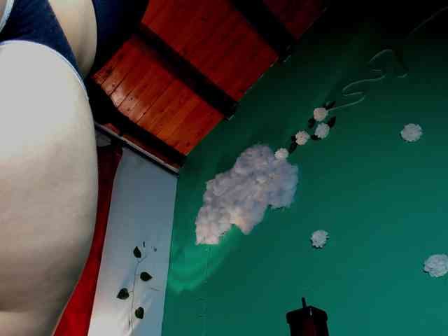 Maddy-Copers webcam