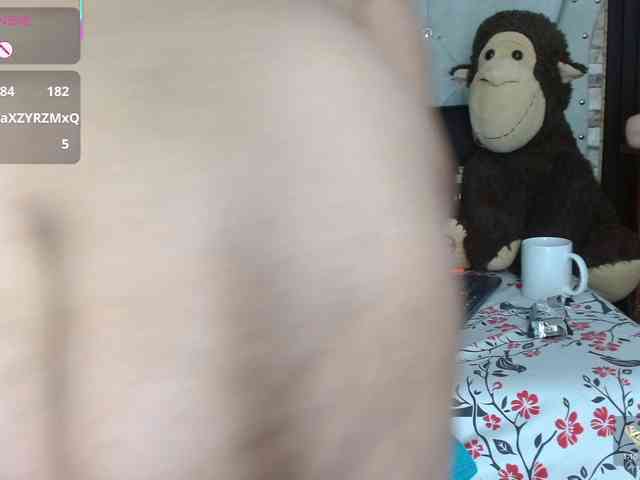 catalella-latina catalella-latina