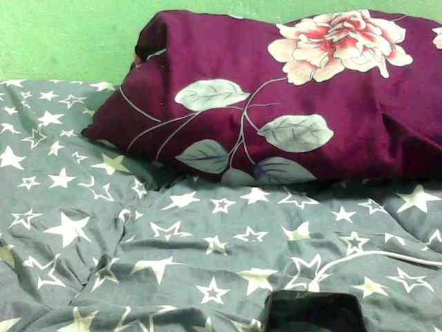 NOELA2 webcam