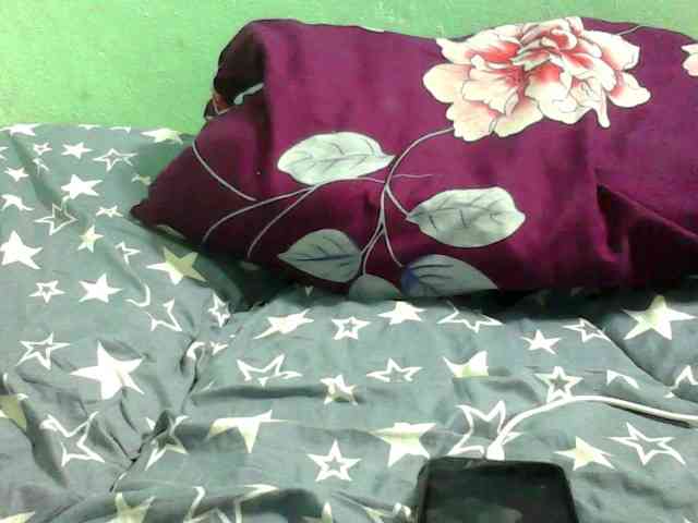 NOELA2 webcam