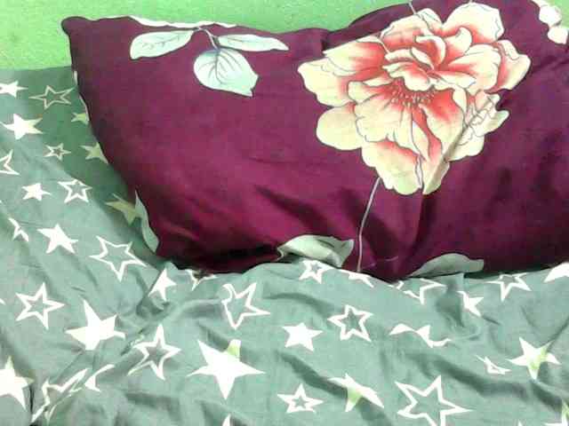 NOELA2 webcam