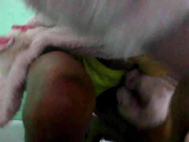 NOELA2 webcam