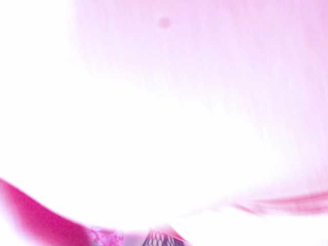 Preview of kazsandra